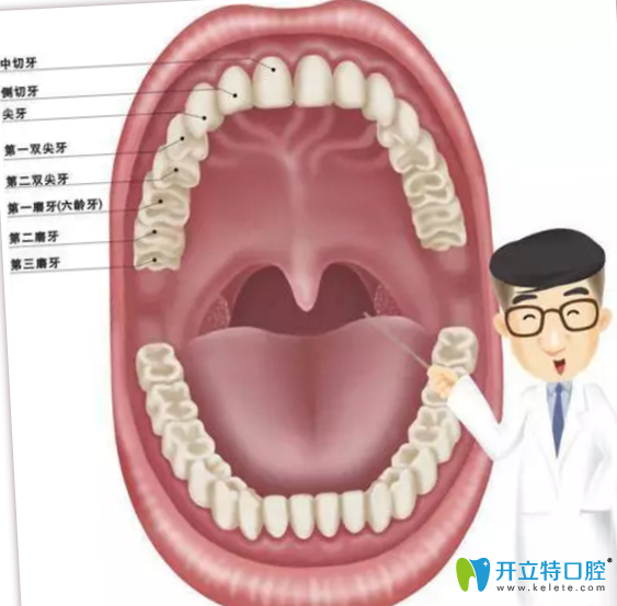 菏澤美爾口腔告訴你30歲還能矯正牙齒嗎？需要注意些什么？
