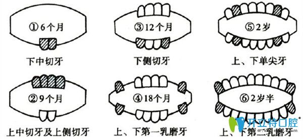 側(cè)切牙缺失怎么辦，有什么影響？