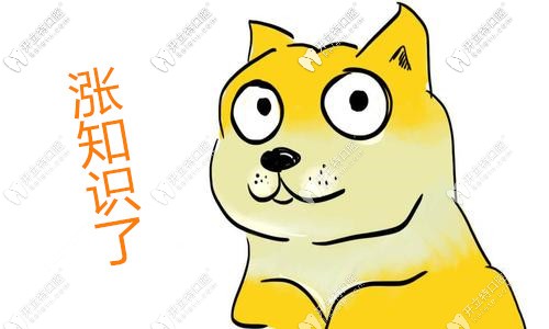 廈門麥芽口腔醫(yī)院價格表