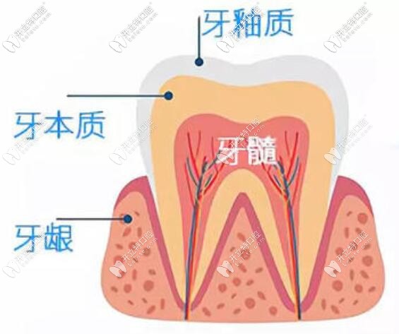 牙齒敏感酸痛怎么辦？速來了解快速緩解的方法