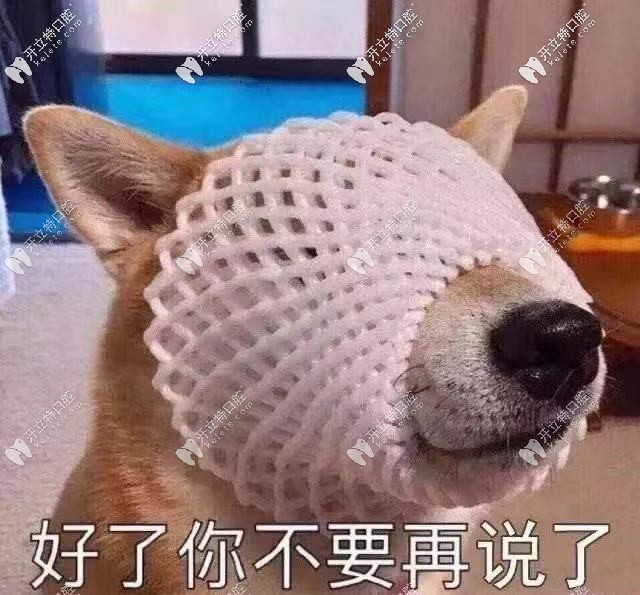 行動(dòng)起來吧，少年少女們！