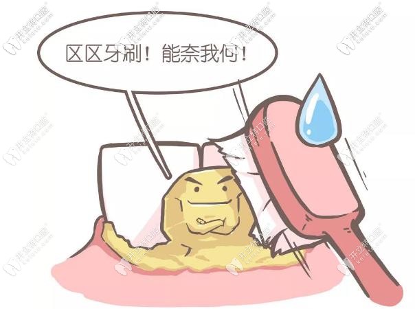 平時要勤刷牙，保護口腔健康