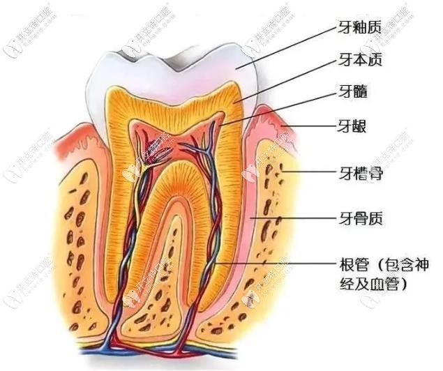 我就納悶了，牙疼一定要做根管治療嗎？