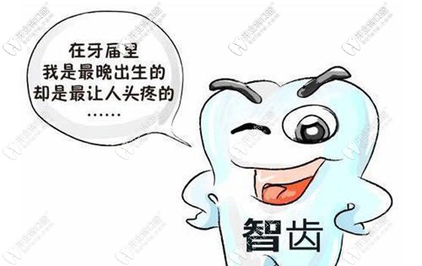 在上海拔一顆智齒一般需要多少錢，可以刷醫(yī)?？▎?？